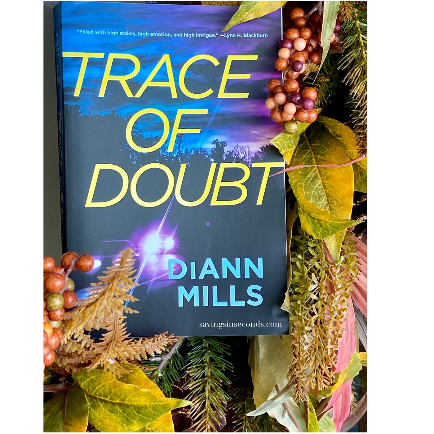 trace of doubt diann mills